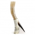 natural shoe horn